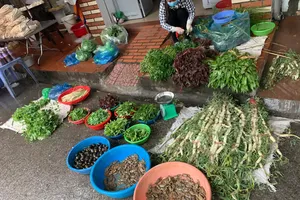 Cẩm nang 6 chợ tại quận Ngô Quyền Hải Phòng độc đáo