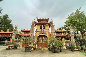 Khám phá 6 chùa tại Tam Dương, Vĩnh Phúc linh thiêng nhất