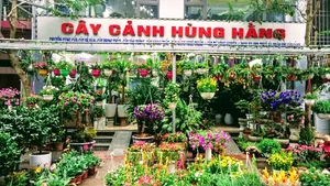 Lưu ngay 7 cửa hàng cây cảnh tại Ninh Bình chất lượng nhất