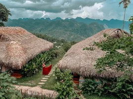 Tổng hợp 10 resort tại Thanh Hoá nổi tiếng