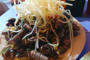Top 7 địa điểm ăn ốc lễ tại Đà Nẵng ngon chất lượng ăn là "phê"