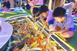 Lưu ngay 5 quán cafe cá koi hot nhất tại TP Nha Trang Khánh Hòa